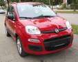 Fiat Panda Automatik*Klima*PDC*I Hand* Rot - thumbnail 3