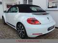 Volkswagen Beetle 1.4TSI DSG Exclusive Sport Xenon White - thumbnail 4