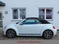 Volkswagen Beetle 1.4TSI DSG Exclusive Sport Xenon White - thumbnail 8