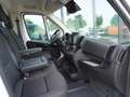 Fiat Ducato Maxi Pritsche L2S / 10-Zoll Navi + AHK Blanc - thumbnail 10