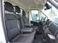 Fiat Ducato Maxi Pritsche L2S / 10-Zoll Navi + AHK Blanc - thumbnail 11
