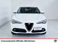 Alfa Romeo Stelvio 2.2 t executive q4 210cv auto Blanc - thumbnail 2