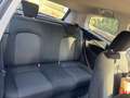 Fiat Grande Punto 1.2 8V Active (01.2007->) Blau - thumbnail 5