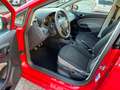 SEAT Ibiza Ibiza 5p 1.0 Connect 75cv NEOPATENTATO Rosso - thumbnail 9