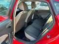 SEAT Ibiza Ibiza 5p 1.0 Connect 75cv NEOPATENTATO Rosso - thumbnail 12