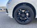 Audi Q7 Q7 55 3.0 tfsi mhev Sport quattro Wit - thumbnail 6