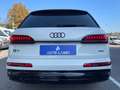 Audi Q7 Q7 55 3.0 tfsi mhev Sport quattro Biały - thumbnail 11