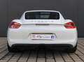 Porsche Cayman Cayman S 1.Hand Top-Zustand Blanc - thumbnail 6
