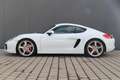 Porsche Cayman Cayman S 1.Hand Top-Zustand Blanc - thumbnail 5