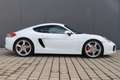 Porsche Cayman Cayman S 1.Hand Top-Zustand Blanc - thumbnail 2