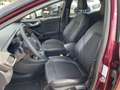 Ford Puma Ecoboost mHEV Vivid Ruby Edition Mauve - thumbnail 15