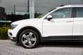 Volkswagen Tiguan 2.0 TDI 4Motion DSG Highline-PANO-CARPLAY-360-LED Blanc - thumbnail 5