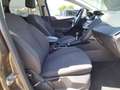 Ford Focus Turnier Titanium+ATM 19000km+NAVI+CAM+SHZ Marrone - thumbnail 15