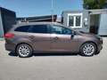 Ford Focus Turnier Titanium+ATM 19000km+NAVI+CAM+SHZ Marrone - thumbnail 1