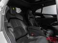 Ferrari Purosangue 6.5 Grau - thumbnail 20