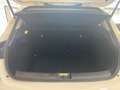 Fiat Tipo 1.6 Mjt S&S DCT 5 porte Easy Business Automatica Bianco - thumbnail 11