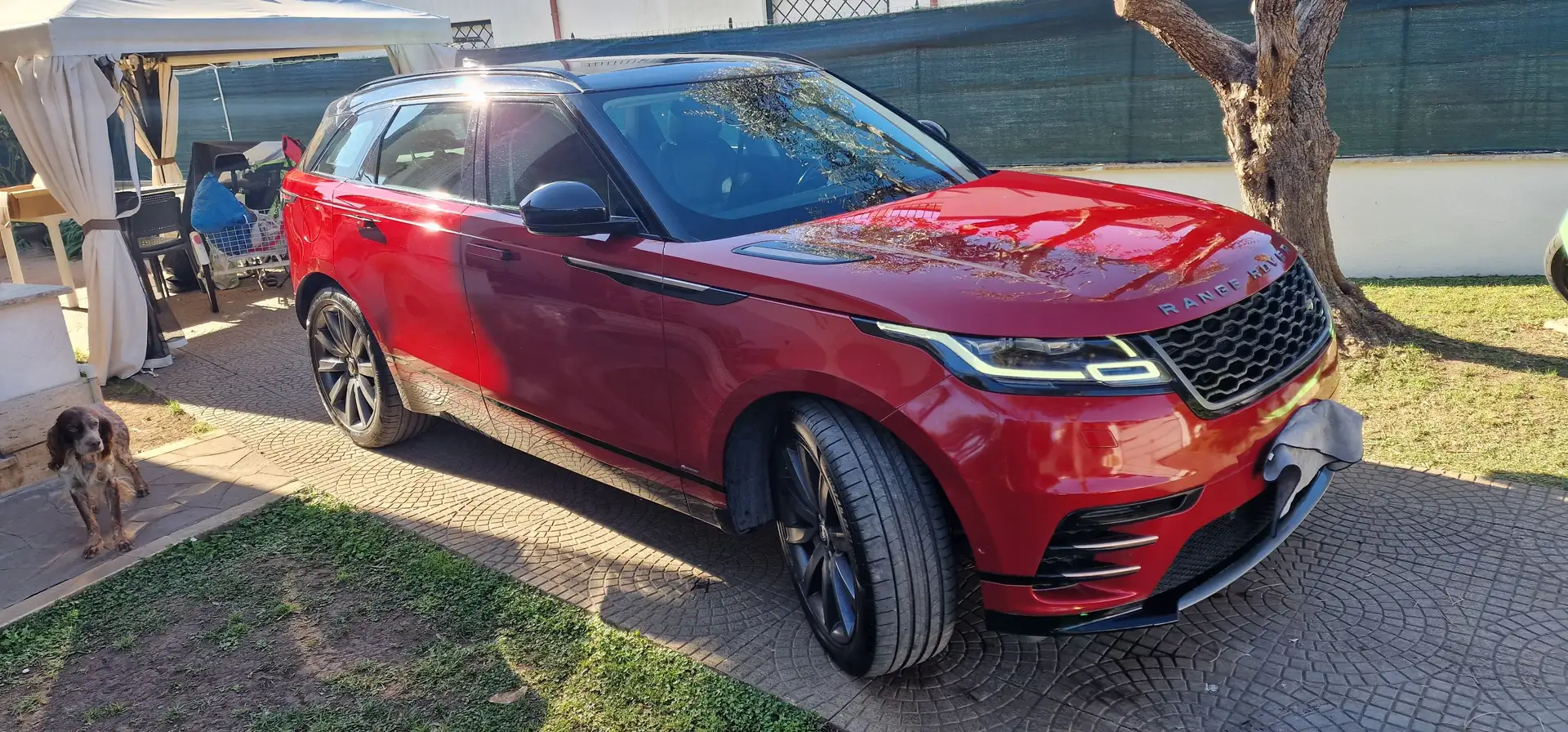 Land Rover Range Rover Velar Range Rover Velar 3.0d V6 R-Dynamic 300cv auto Piros - 2