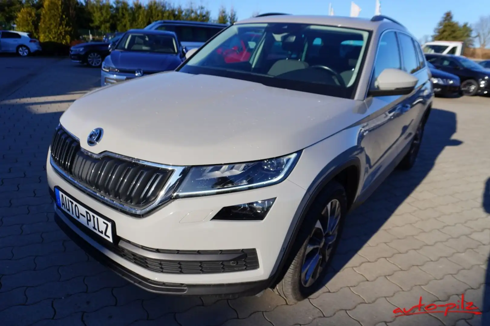 Skoda Kodiaq Drive 125 4x4 Grau - 1