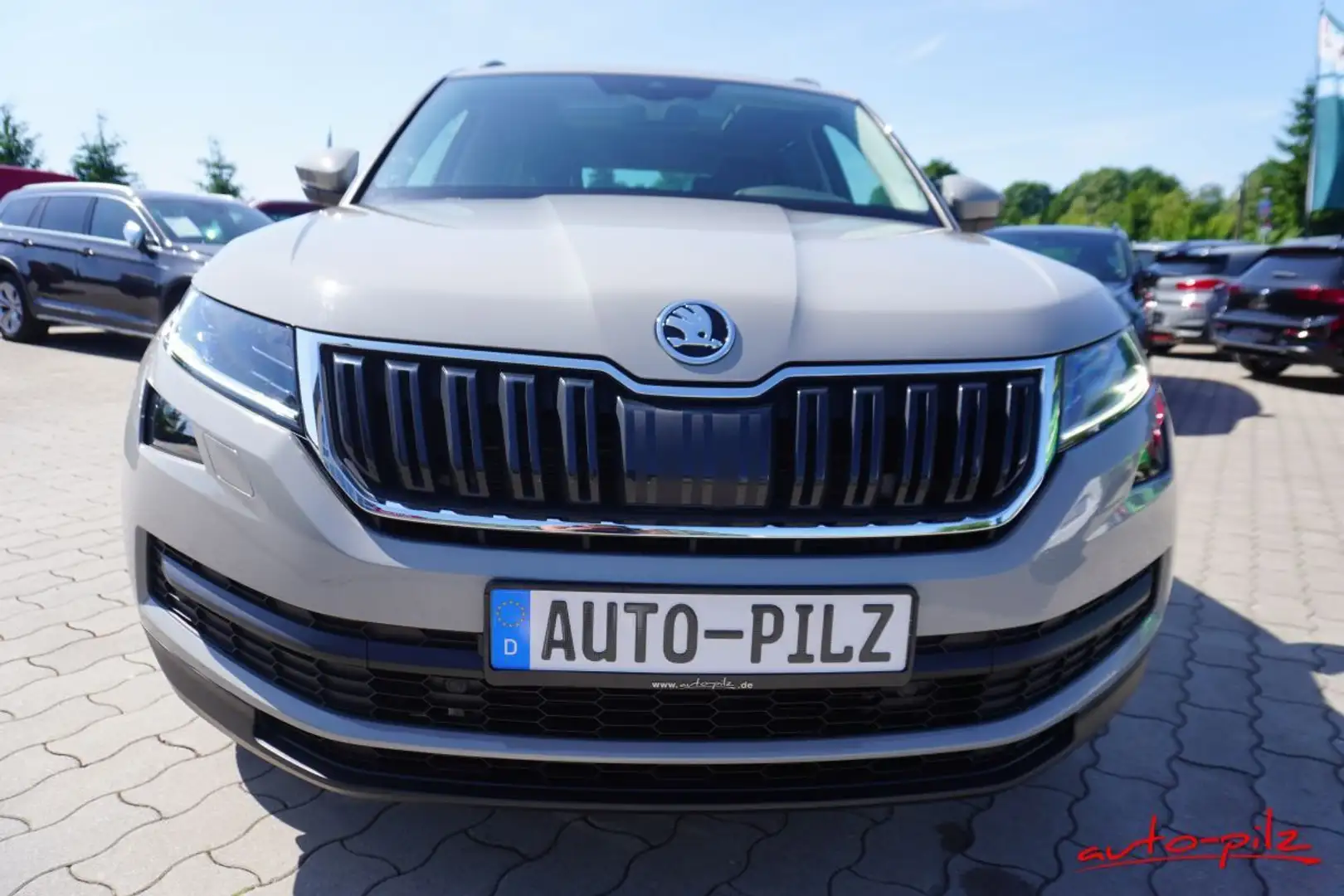 Skoda Kodiaq Drive 125 4x4 Grau - 2