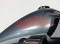 Harley-Davidson Lowrider ST FXLRST Softail Noir - thumbnail 6