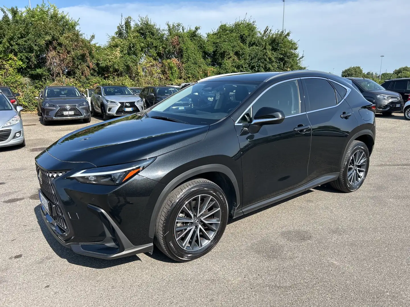 Lexus NX 300 Plug-in 4WD Premium + IVA ESPOSTA COMPRESA - 1