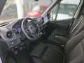 Mercedes-Benz Sprinter 317 Kasten L2H2 360° SHZ EDW Navi 270°T Blanc - thumbnail 10