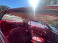 Ford Mustang Coupe 1966 Rouge - thumbnail 7