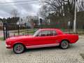 Ford Mustang Coupe 1966 Rouge - thumbnail 13
