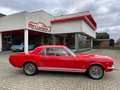 Ford Mustang Coupe 1966 Rood - thumbnail 10