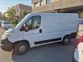 Citroen Jumper 33 BlueHDi 140 S&S PC-TN Furgone Bianco - thumbnail 7