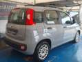 Fiat Panda 1.0 HYB -NESSUN OBBLIGO DI FINANZIAMENTO- Gris - thumbnail 5