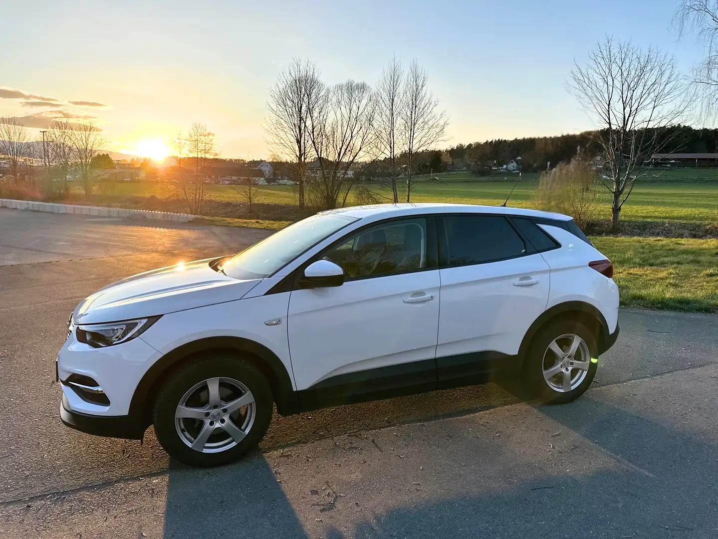 Opel Grandland X 1,2 Turbo Dir. Inj. 120 Jahre Edition Start/Stop Weiß - 1