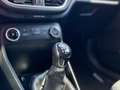Ford Fiesta Fiesta 5p 1.1 Titanium 85cv Grigio - thumbnail 12