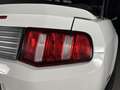 Ford Mustang GT 5.0 V8  418CH CONVERTIBLE BOITE AUTOMATIQUE Bianco - thumbnail 13