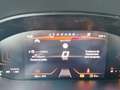 SEAT Arona 1.0 TSI S&S X-Perience Special Edition 115 Gris - thumbnail 10