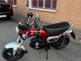 Honda DAX ST 125 Rosso - thumbnail 2