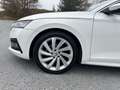 Skoda Octavia Combi 2,0 TDI Style DSG * 18-Zoll / AHK / Head-... Blanc - thumbnail 13