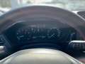 Ford Focus ST-Line Weiß - thumbnail 12