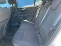 Ford Focus ST-Line Weiß - thumbnail 6