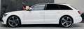 Audi A6 Avant S-Line Plus Selection|KAMERA|NAVI|TEMP.|SHZ bijela - thumbnail 8