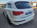 Audi Q7 3,0 TDI V6 quattro DPF Tiptronic Weiß - thumbnail 4