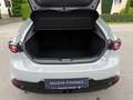 Mazda 3 e-Skyactiv G140 Homura Automatik 2,5L Grau - thumbnail 7