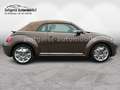 Volkswagen Beetle *LEDER*TÜV & SERVICE NEU* Braun - thumbnail 7