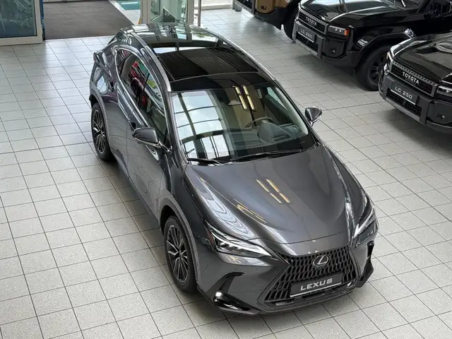 Lexus Sonstige