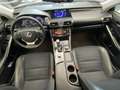 Lexus IS 300 300h Pack Business Blanc - thumbnail 9