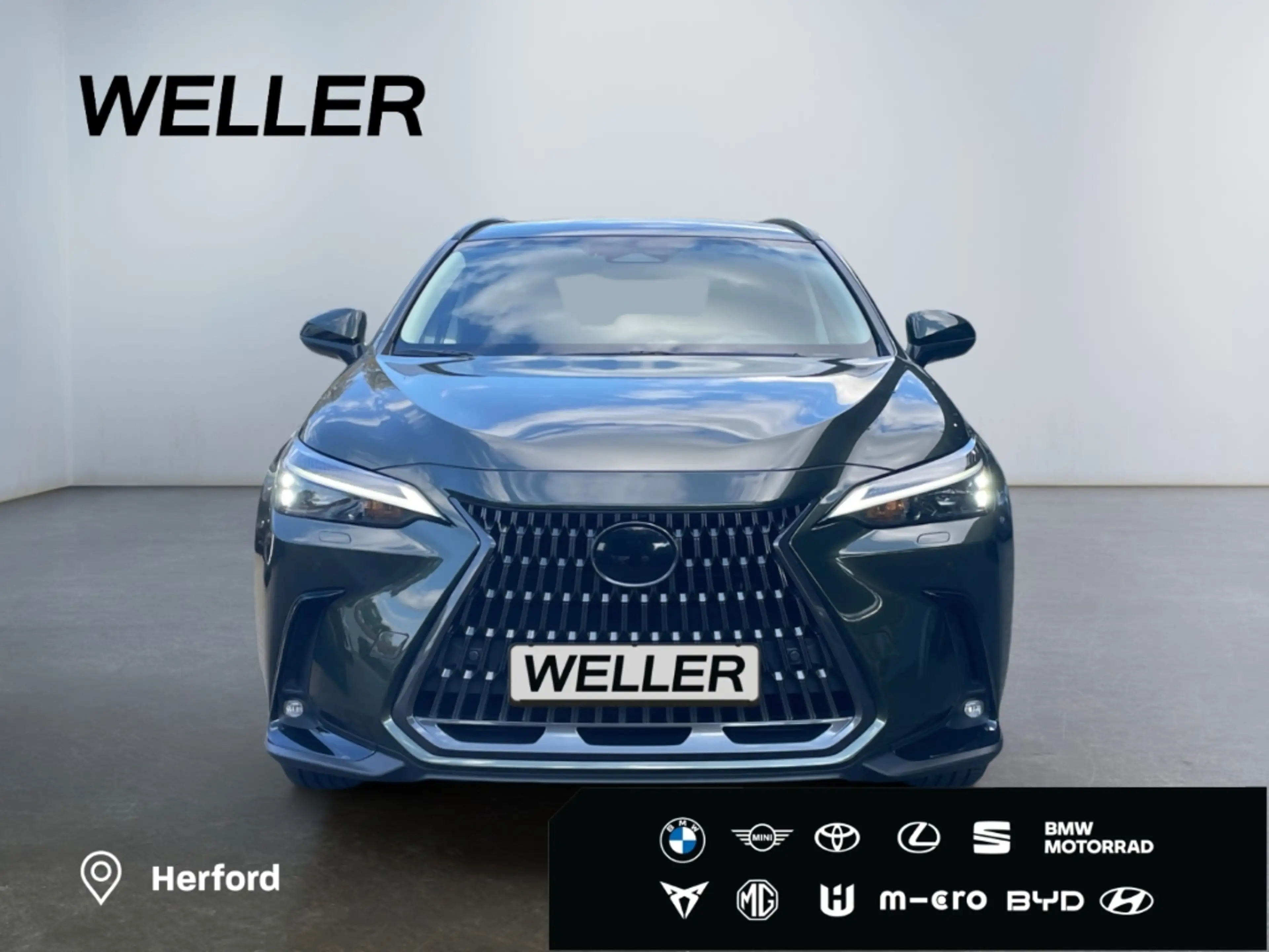 Lexus NX 450h+ E-FOUR Executive Line*Black-Edition*AHK* — photo 2