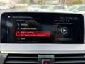 BMW X4 xDrive 30i M Sport Grau - thumbnail 13