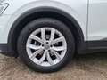 Volkswagen Tiguan 1.4 TSI 150 Pk Dsg Act Comfortline Business NAV PD Wit - thumbnail 32