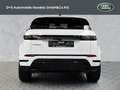Land Rover Range Rover Evoque D165 Dynamic SE Weiß - thumbnail 7
