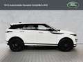 Land Rover Range Rover Evoque D165 Dynamic SE Weiß - thumbnail 6